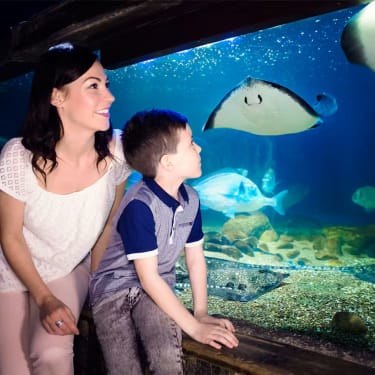布蘭肯貝赫 SEA LIFE 水族館門票