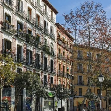 La Latina & Lavapies Free Tour in Madrid