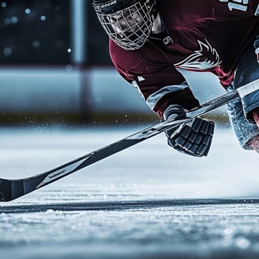 Belleville Senators Tickets