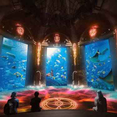 Dubai The Lost World Aquarium Biljetter