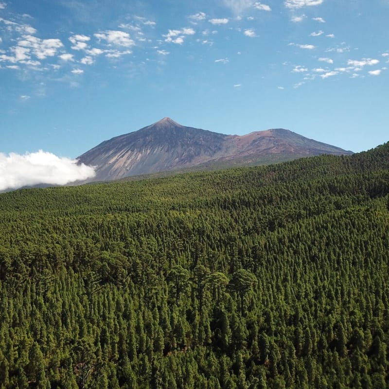 Udflugter El Teide -