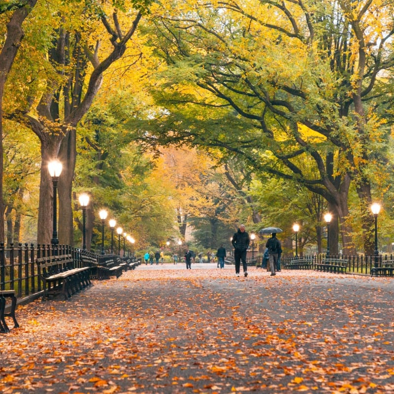 10 Best Parks in New York - Explore New York's Most Beautiful Outdoor  Spaces - Go Guides