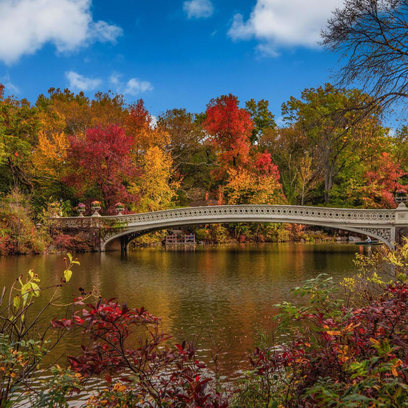 Fall in New York, Weather and what to do in October and November