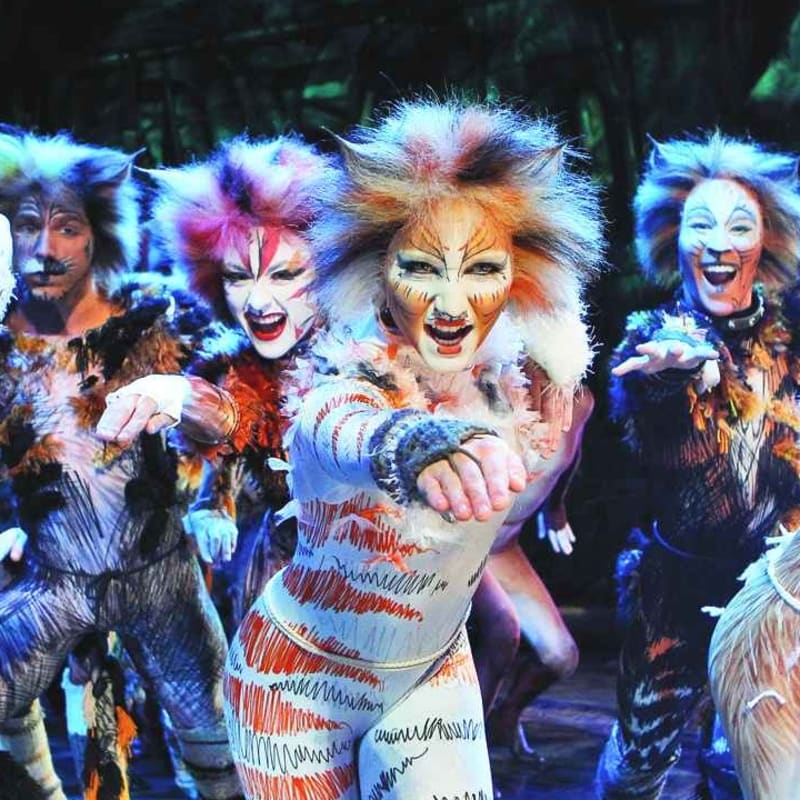 Cats Musical in Broadway NYC: everything you need to know about the show -  Hellotickets