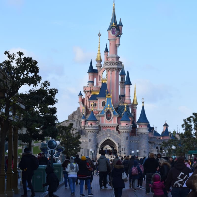 Carte Billet Disneyland Paris - 1 adulte