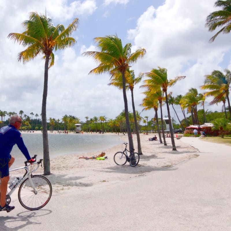 How to get to Marlins Park in Miami by Bus, Subway or Train?