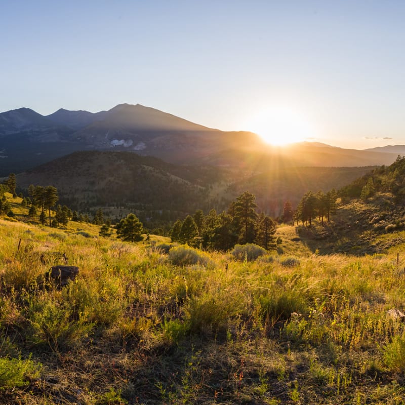 3日間でサンフランシスコを満喫するためのガイドブック：訪問を最大限