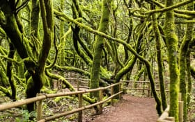 Passeios de um dia para La Gomera saindo de Tenerife