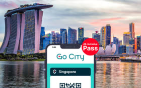 Singapore All-Inclusive Pass