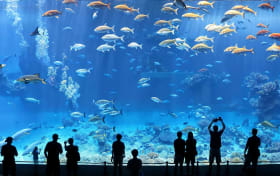 Entradas para el Aquarium de Nueva York