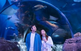 達拉斯海洋生物葡萄園票券
