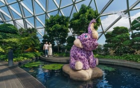 Ingressos para o Canopy Park do Aeroporto de Singapura