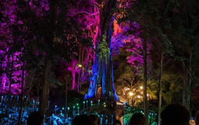 Entradas al bosque encantado Dream Forest en Langkawi