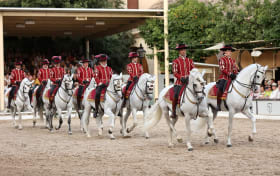 Cordoba Royal Stables Horse Show Tickets