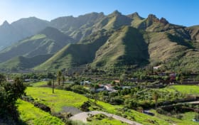 Coffee Route in Northern Gran Canaria