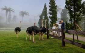 Bali Traditional Farm House Tickets