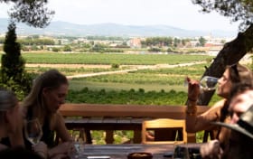 Utiel-Requena Wineries Day Trip from Valencia with Wine Tasting