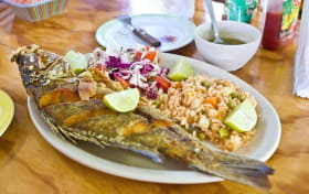 Tour gastronómico por Cozumel