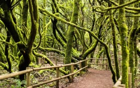 Best Day Trips to La Gomera from Tenerife