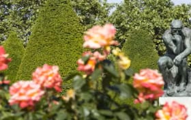 Tickets voor het Rodin Museum in Parijs