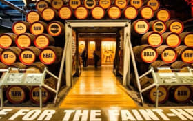 Dublin Guinness Storehouse Tickets + Drink