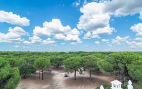 Doñana National Park dagsresa från Sevilla
