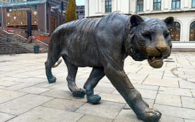 Darmowa Wycieczka po Oslo