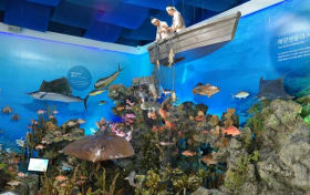 Tickets voor het Marine Animal Museum op Jeju