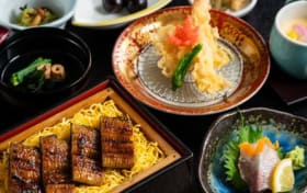Yanagawa Water Village Yarım Gün Nehir Tekne Turu