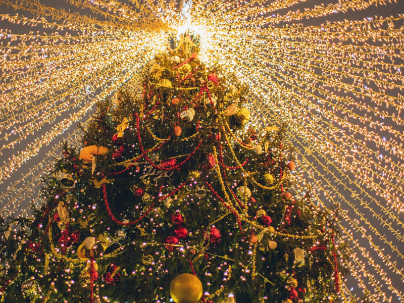 ニューヨーク市のベスト11のクリスマスツリー - Hellotickets ニューヨーク市のベスト11のクリスマスツリー - Hellotickets