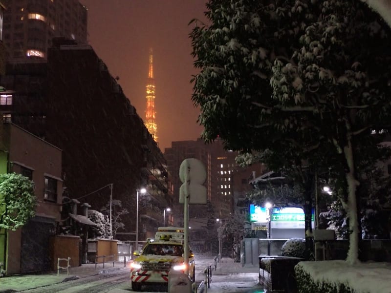 Winter Sightseeing in Tokyo Done Right: What to Know and What to