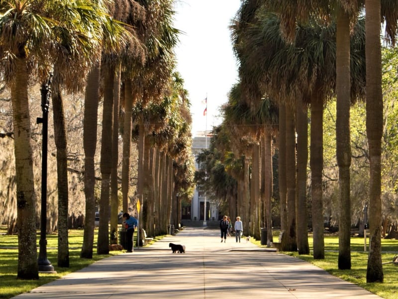 59 Coisas para Fazer em Savannah - Hellotickets