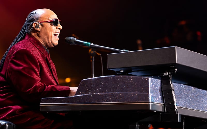 Stevie Wonder