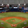 Tampa Bay Rays 門票
