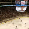 Arizona Coyotes 門票