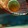 Rolex Paris Masters 2026 Tickets
