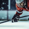 Rockford Icehogs 門票