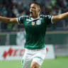 Palmeiras 門票