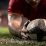 Romania Rugby National Team 門票