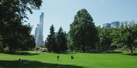 17 choses à voir et à faire à Central Park