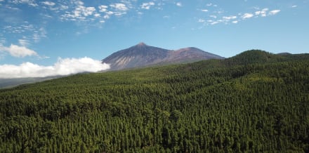 特內里費的泰德票務與旅遊