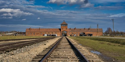4 najlepsze wycieczki jednodniowe do Auschwitz z Krakowa