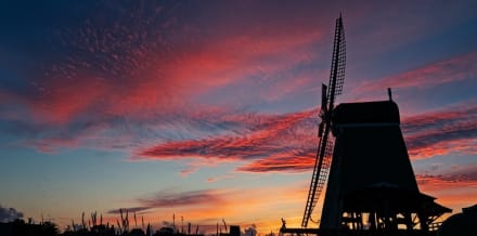 5 Best Day Trips to Zaanse Schans and its Windmills from Amsterdam
