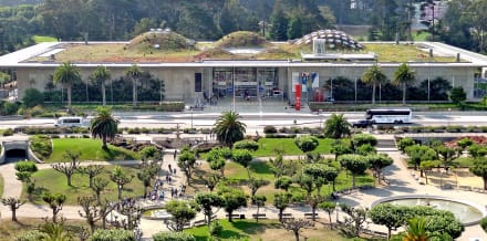 California Academy of Sciences Tickets und Touren in San Francisco