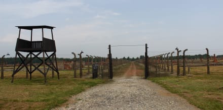10 Beste Tipps für einen Besuch in Auschwitz von Krakau