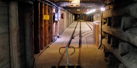 Biljetter och turer till Wieliczkas saltgruvor