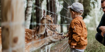 紐約布朗克斯動物園門票