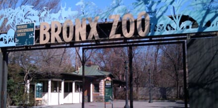 布朗克斯動物園開放時間
