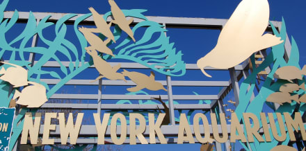 紐約水族館門票