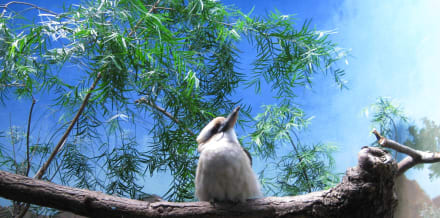 布朗克斯動物園：票價與折扣